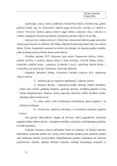 Smulkaus ir vidutinio verslo finansavimo galimybės Lietuvoje  12 puslapis