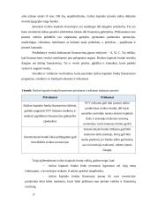 Smulkaus ir vidutinio verslo finansavimo galimybės Lietuvoje  17 puslapis