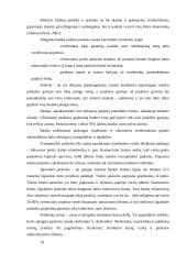 Smulkaus ir vidutinio verslo finansavimo galimybės Lietuvoje  19 puslapis