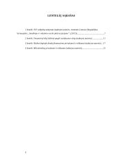 Smulkaus ir vidutinio verslo finansavimo galimybės Lietuvoje  3 puslapis