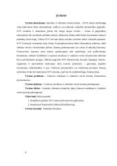 Smulkaus ir vidutinio verslo finansavimo galimybės Lietuvoje  4 puslapis