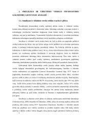 Smulkaus ir vidutinio verslo finansavimo galimybės Lietuvoje  5 puslapis