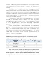 Smulkaus ir vidutinio verslo finansavimo galimybės Lietuvoje  6 puslapis