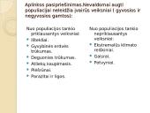 Populiacijos gausumo savireguliacija 4 puslapis