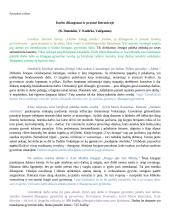 Kaip rašyti literatūrinį rašinį, su pavyzdžiu 2 puslapis