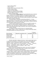 Civilinės saugos slėptuvės nuo nelaimių 4 puslapis