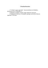 Civilinės saugos slėptuvės nuo nelaimių 8 puslapis