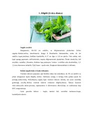 Augalų veikliosios medžiagos 2 puslapis