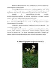 Augalų veikliosios medžiagos 14 puslapis