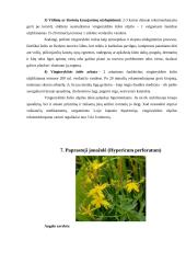 Augalų veikliosios medžiagos 17 puslapis