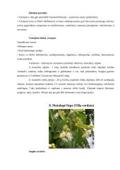 Augalų veikliosios medžiagos 19 puslapis