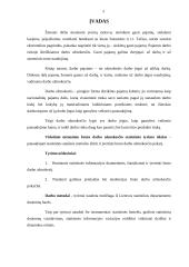 Bruto darbo užmokesčio analizė 2 puslapis