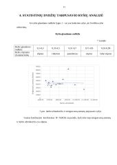 Bruto darbo užmokesčio analizė 11 puslapis