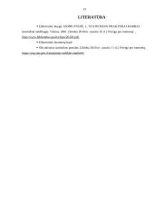 Bruto darbo užmokesčio analizė 13 puslapis