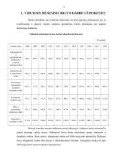 Bruto darbo užmokesčio analizė 3 puslapis