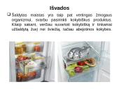 Šaldytas maistas 11 puslapis