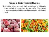 Šaldytas maistas 7 puslapis