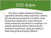 Klimato kaita. Kalbos ar tiesa? 6 puslapis