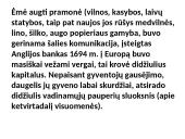 Anglijos revoliucijos eiga 19 puslapis