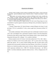 Čikagos turizmas 2 puslapis