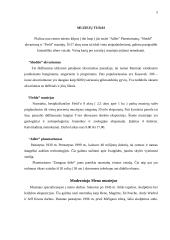 Čikagos turizmas 3 puslapis