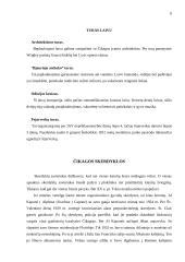 Čikagos turizmas 4 puslapis