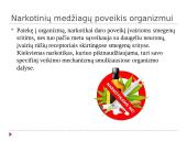 Narkotikai ir jų poveikis organizmui 4 puslapis