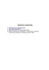 Dabartine automobilių gamyba 8 puslapis