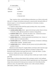 Dabartinė viešųjų kalbų klasifikacija pagal funkcijas 2 puslapis