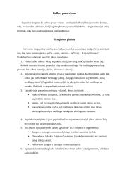 Dabartinė viešųjų kalbų klasifikacija pagal funkcijas 3 puslapis