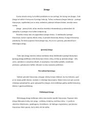 Dabartinė viešųjų kalbų klasifikacija pagal funkcijas 5 puslapis