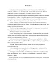 Dabartinė viešųjų kalbų klasifikacija pagal funkcijas 6 puslapis