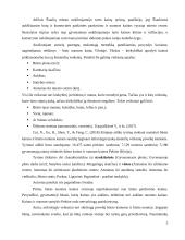 Butų nuomos kainą Vilniuje lemiantys veiksniai 5 puslapis