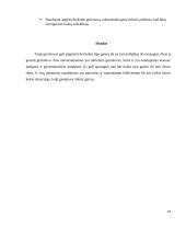 Gesintuvų tipai 13 puslapis