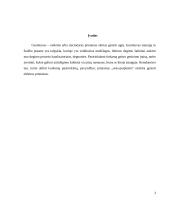 Gesintuvų tipai 2 puslapis