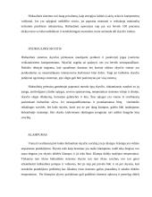 Hidraulinės alyvos savybės ir rūšys 2 puslapis