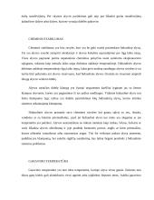 Hidraulinės alyvos savybės ir rūšys 3 puslapis