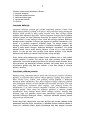 Valiutų kursus sąlygojantys veiksniai 2 puslapis