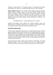 Valiutų kursus sąlygojantys veiksniai 3 puslapis