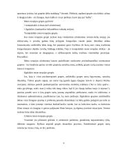 Dailės terapijos užsiėmimų organizavimo ypatumai 6 puslapis