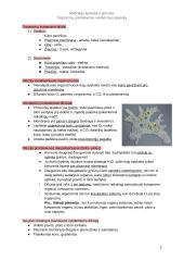 Prisitaikymas dujų apykaitos vykdymui 2 puslapis