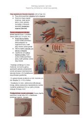 Prisitaikymas dujų apykaitos vykdymui 3 puslapis