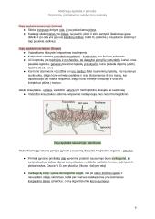 Prisitaikymas dujų apykaitos vykdymui 4 puslapis