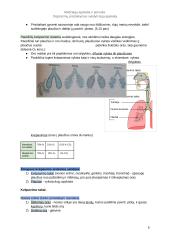 Prisitaikymas dujų apykaitos vykdymui 5 puslapis