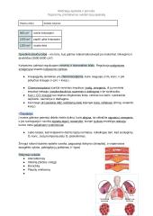 Prisitaikymas dujų apykaitos vykdymui 8 puslapis