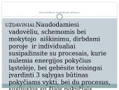 Lapas - fotosintezės organas 13 puslapis