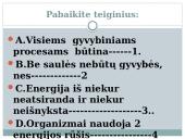 Lapas - fotosintezės organas 15 puslapis