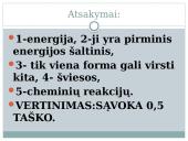 Lapas - fotosintezės organas 16 puslapis