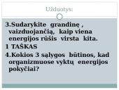 Lapas - fotosintezės organas 17 puslapis