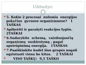 Lapas - fotosintezės organas 19 puslapis